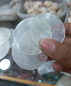 صدف پولکی دایره ای حدودا 4سانتی متر