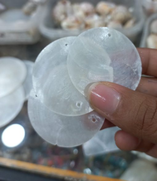 صدف پولکی دایره ای حدودا 4سانتی متر