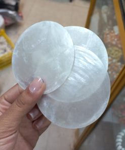 صدف پولکی دایره ای حدودا 6سانتی متر