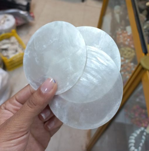 صدف پولکی دایره ای حدودا 6سانتی متر