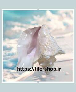 صدف ملکه