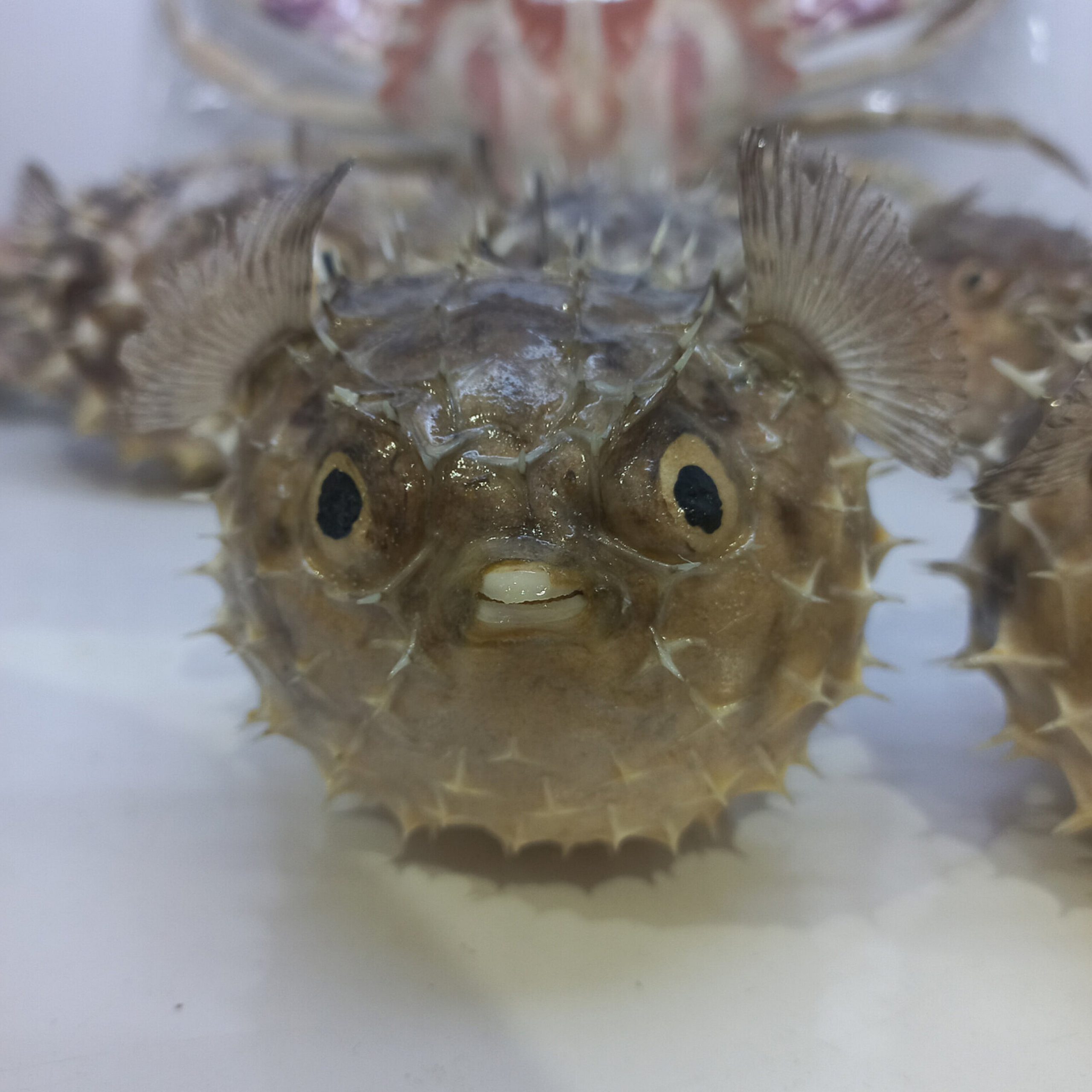 2025071000565546scaledjpg فروشگاه انلاین لی لُ