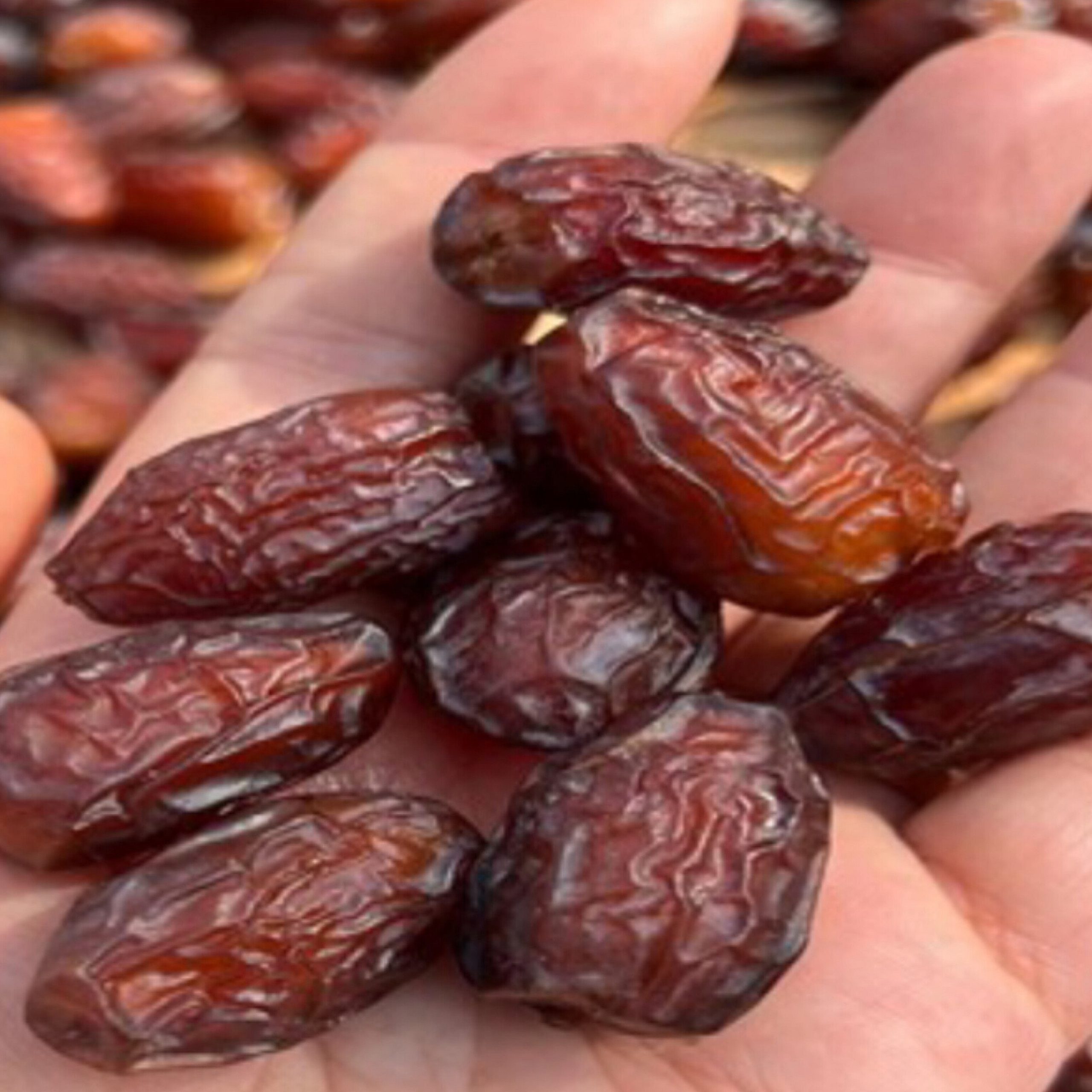 2025081000600536scaledjpg فروشگاه انلاین لی لُ