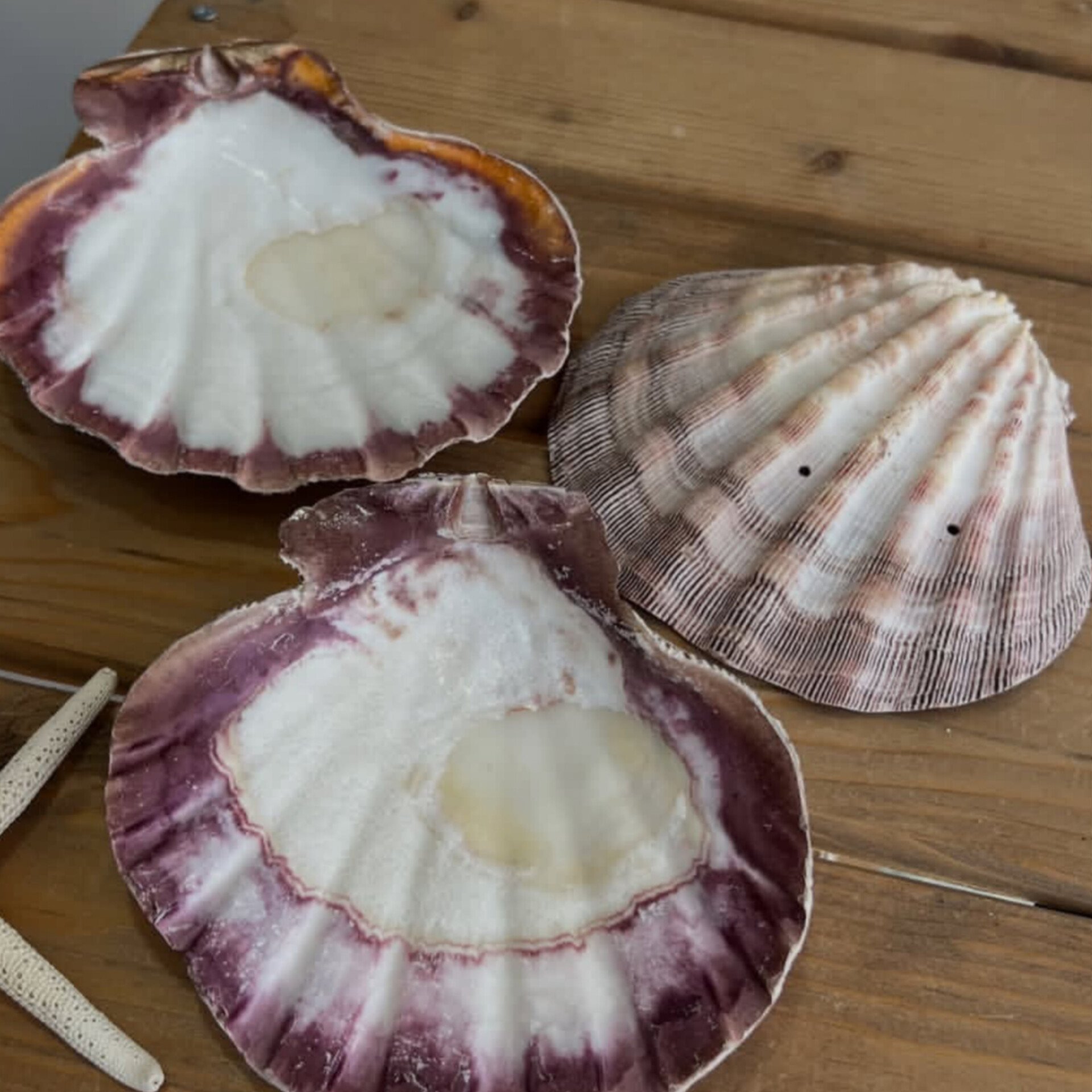 2025101000024884jpg فروشگاه انلاین لی لُ