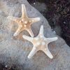 ستاره دریایی_طبیعی